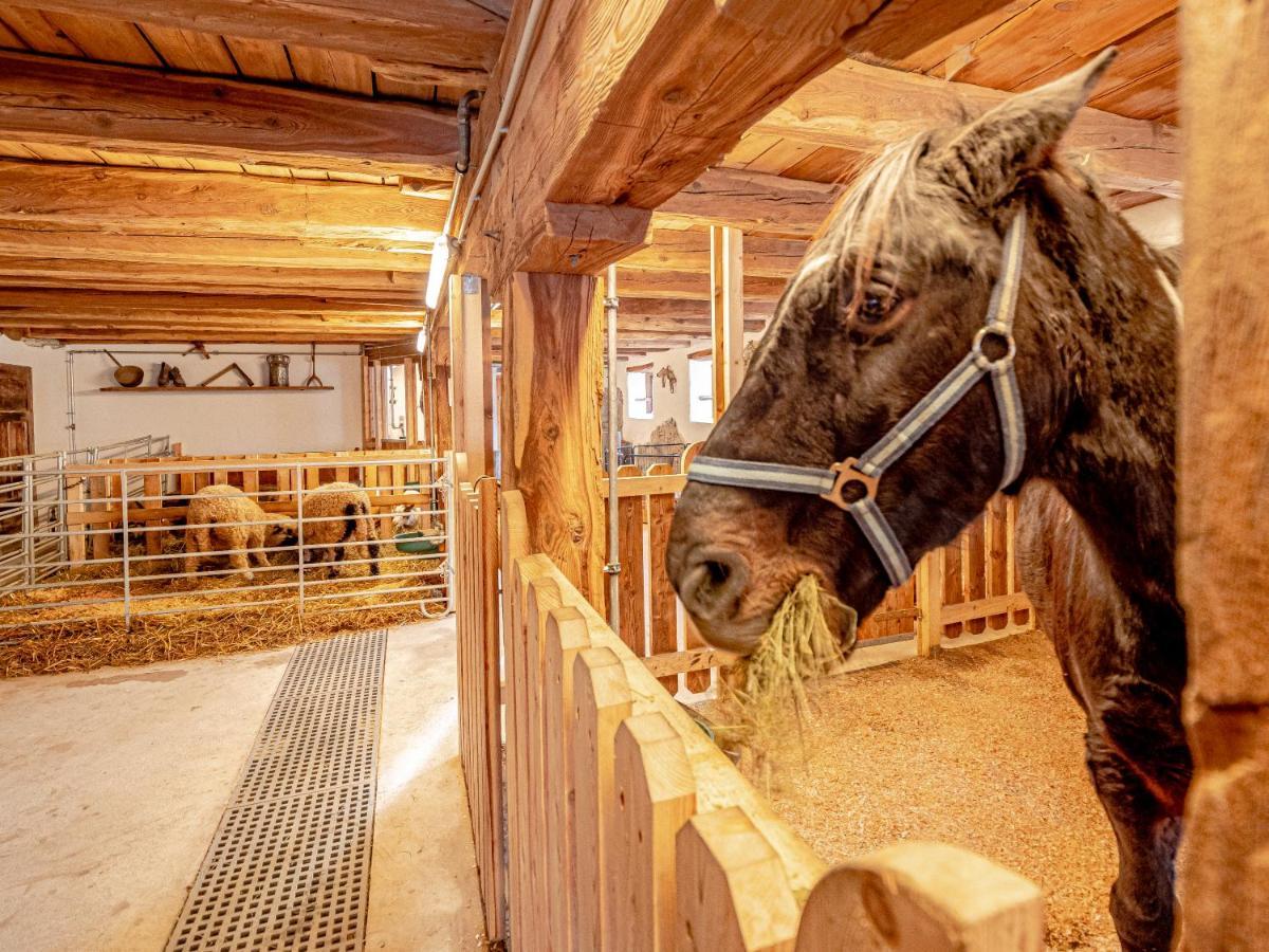 Zeiserhof Ramsau am Dachstein Extérieur photo