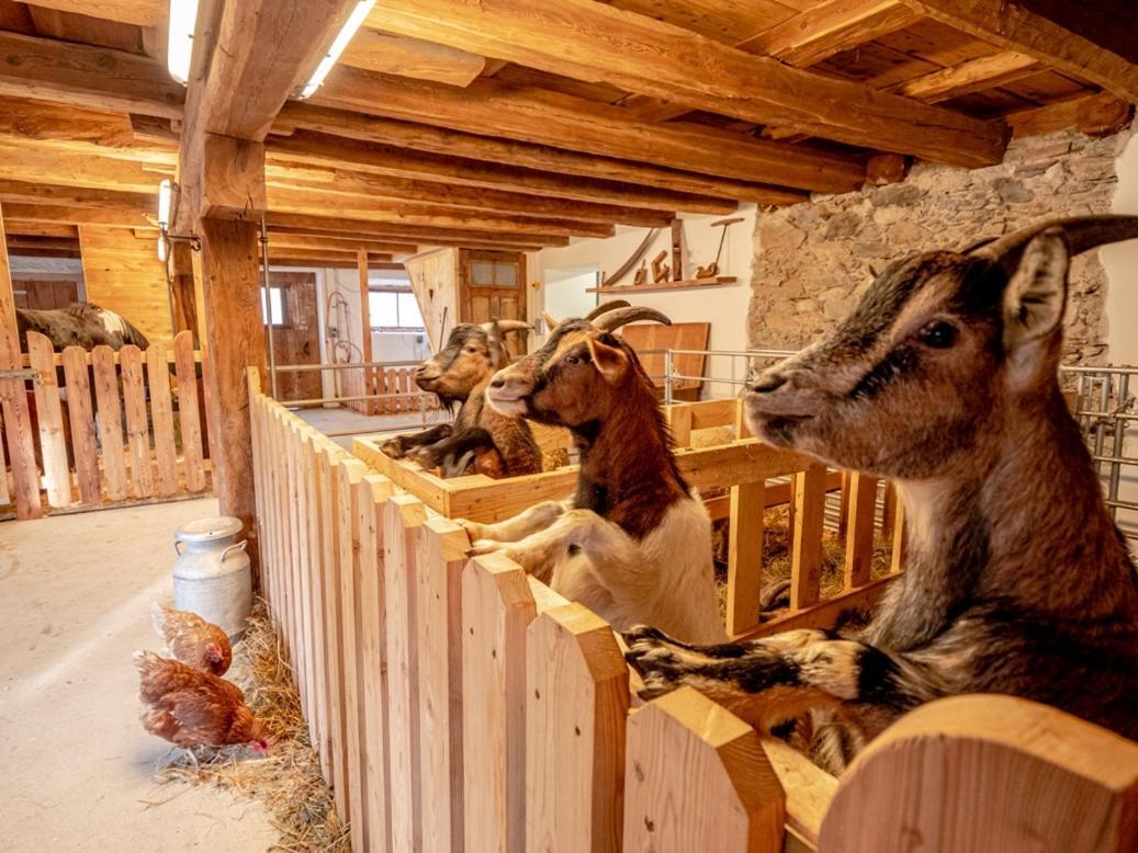Zeiserhof Ramsau am Dachstein Extérieur photo